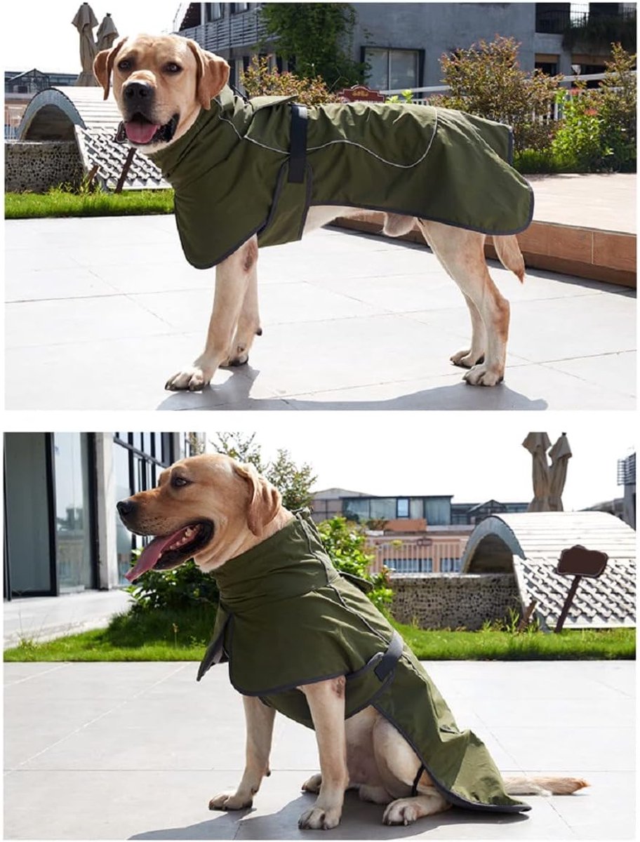 Dog Raincoat - Dog Jacket - Waterproof Winter Dog Coat - Windproof Dog Coat - Winter Dog Coat - Reflective Strip - Green - Size S - Perfect for Small and Medium Dogs