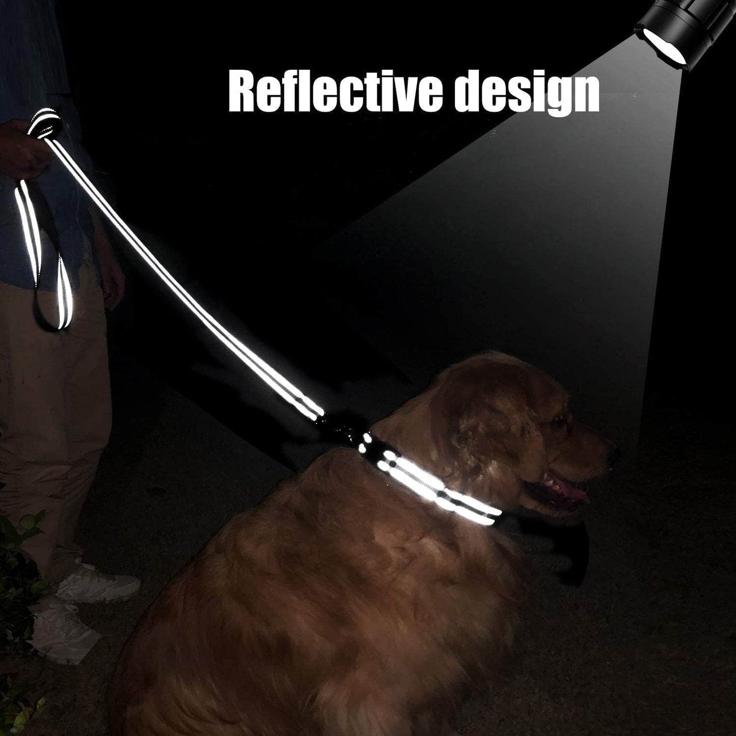 6FT Reflective Dog Leash with Soft Padded Handle for Training,Walking Lead for Large & Medium Dog,1 Inch Wide,Black