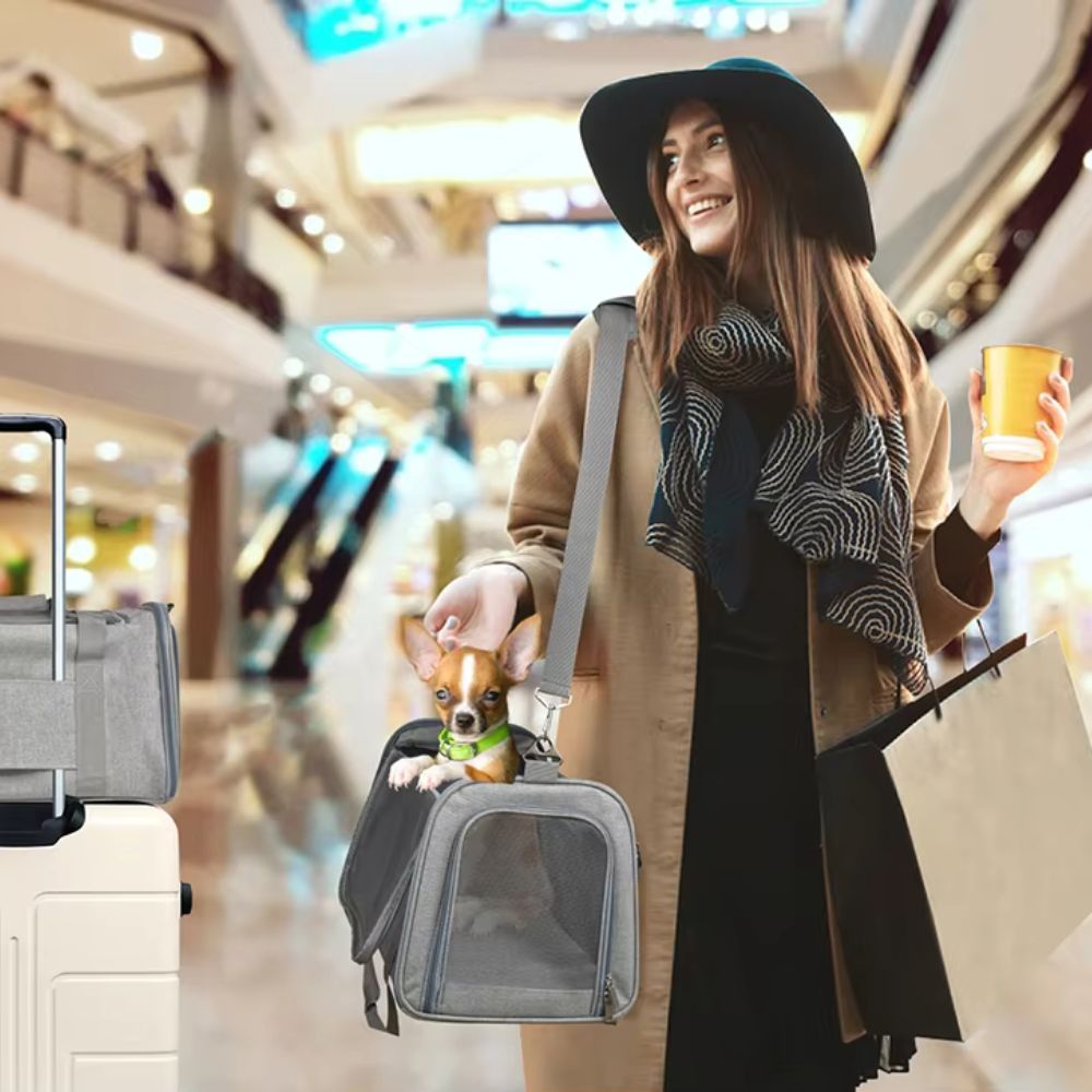 Airline Approved Pet Carrier Bag Backpack For Small Dogs and Cats