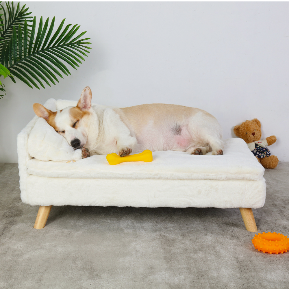 Portable elevated dog bed waterproof for indoor and outdoor use