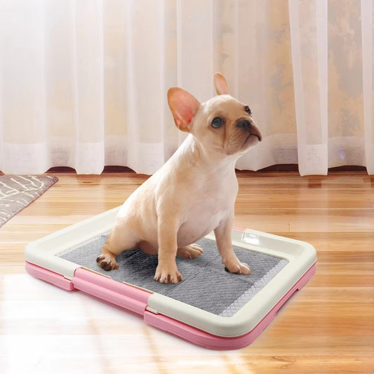 Portable indoor potty for dogs and cats