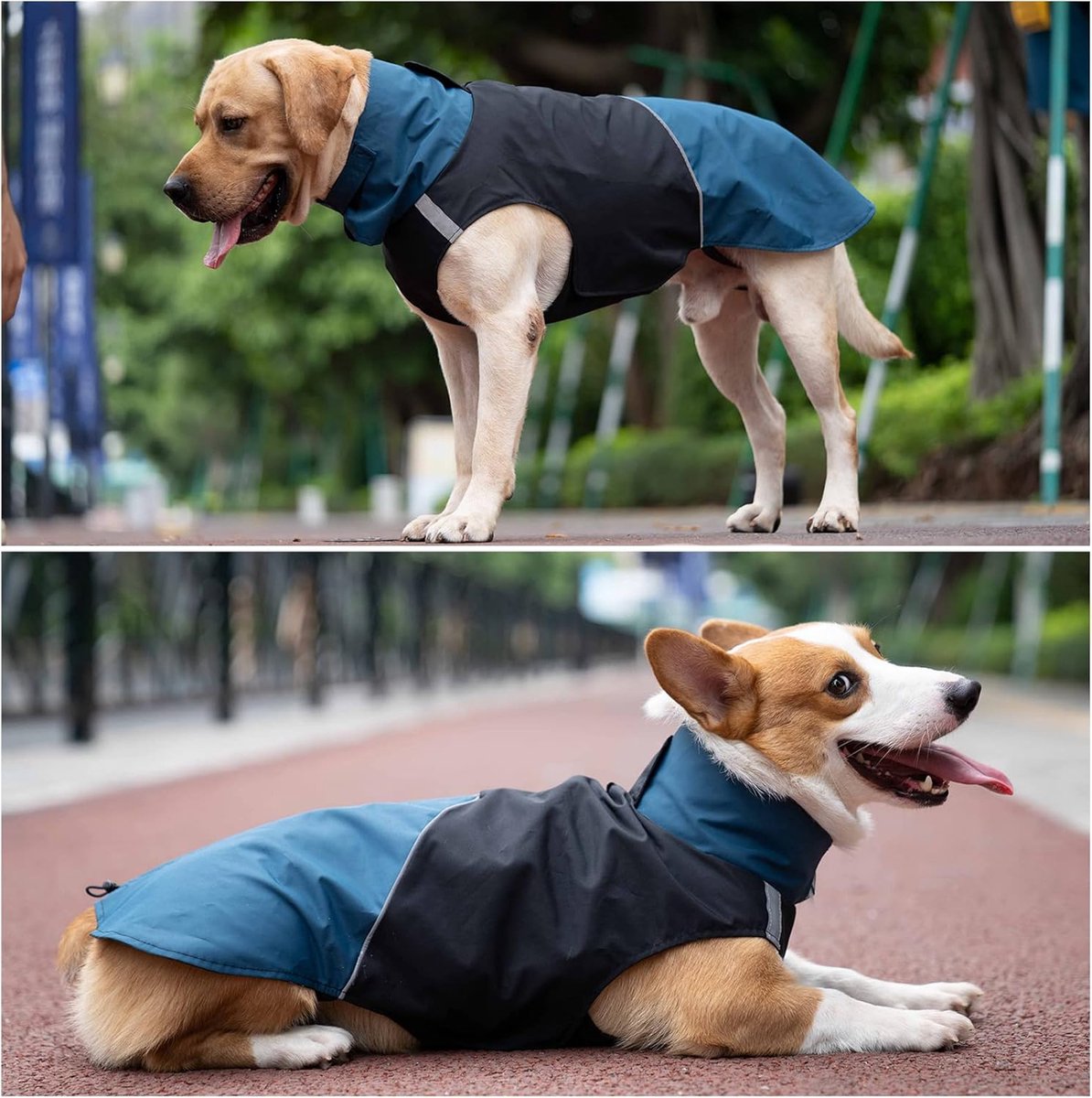 Dog Raincoat - Dog Jacket - Waterproof Winter Dog Jackets - Windproof Dog Jacket - Winter Dog Jacket - Reflective Strip - Perfect for Small Dogs - Medium-Sized Dogs - Blue and Black - Size XXL