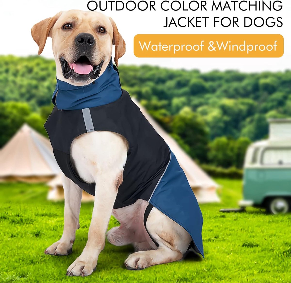 Dog Raincoat - Dog Jacket - Waterproof Winter Dog Jackets - Windproof Dog Jacket - Winter Dog Jacket - Reflective Strip - Perfect for Small Dogs - Medium-Sized Dogs - Blue and Black - Size XXL