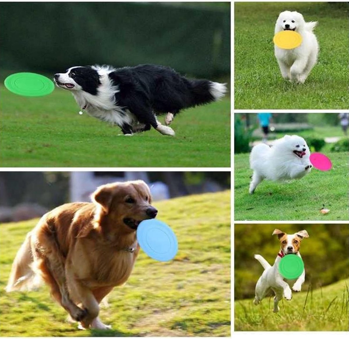 Frisbee - 7 Pieces - Dog Frisbee - Rubber Frisbee Dog - Dog Toys - Beach Toys - Disc - Soft Silicone - Dog Intelligence Toys - For All Dogs - 17.8 Cm