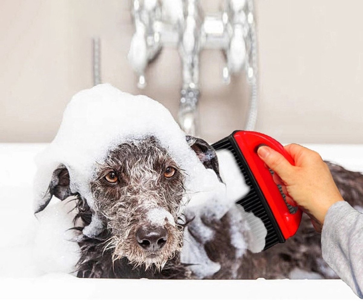 Pet Hair Remover for Fabric - Remove Dog and Cat Hair from Clothing, Furniture, Cushions and Car Interiors - Rubber Hair Remover - Soft Deshedding Brush - Red - For Pets and Furniture