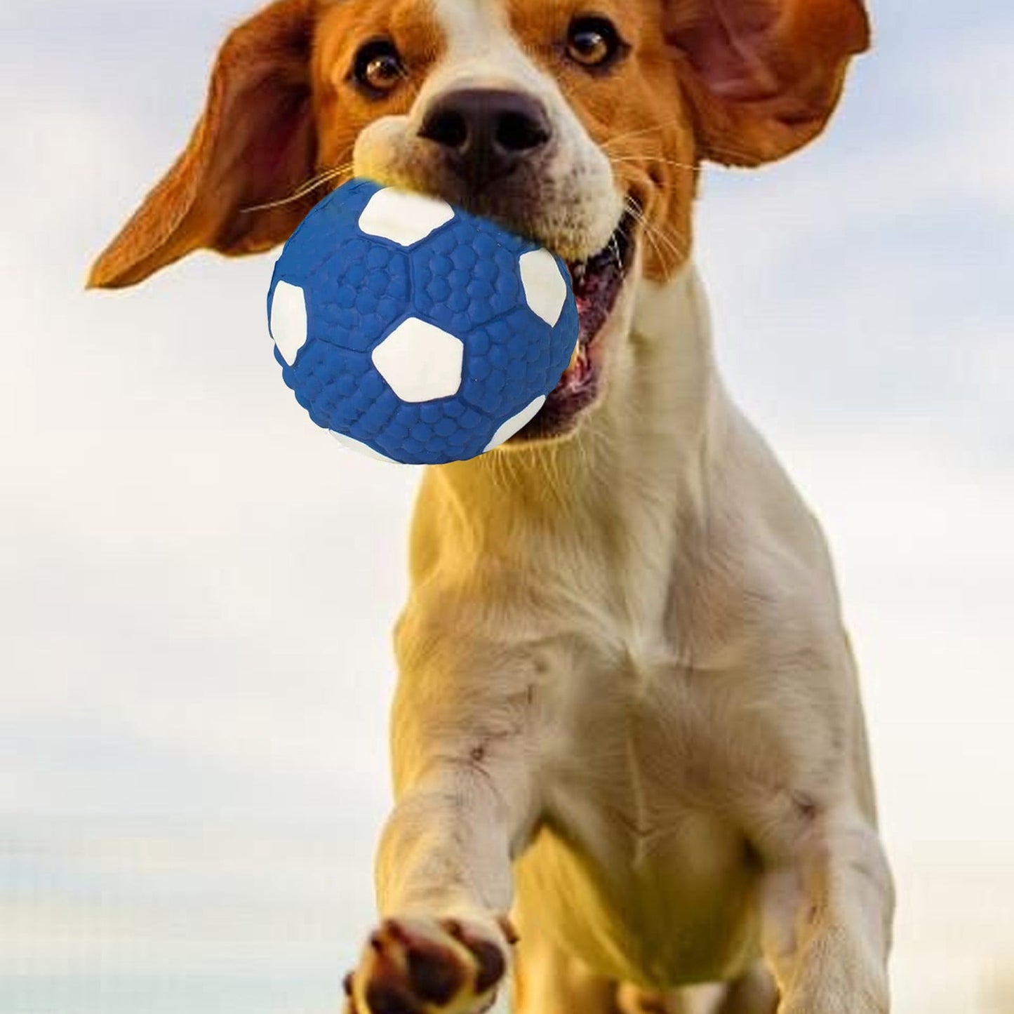 Soccer Ball Chew Toy Dog Toy Squeak Rubber Fun Suitable for Large and Medium Sized Dogs Dog Toy Squeak Rubber Fun Suitable for Large and Medium Sized Dogs (Blue, L) S Blue