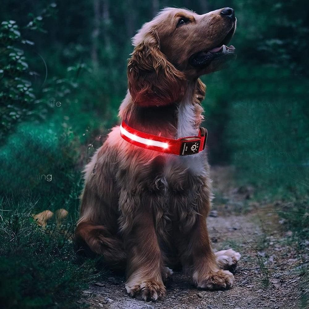 Luminous LED Pet Dog Collar Light-up USB Rechargeable Dog Collar Red - L