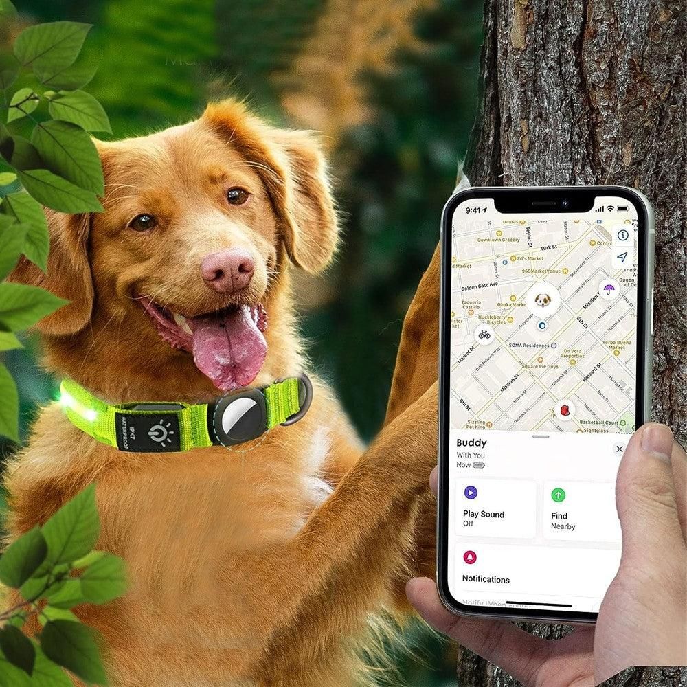 Luminous LED Pet Dog Collar Light-up USB Rechargeable Dog Collar Green - S