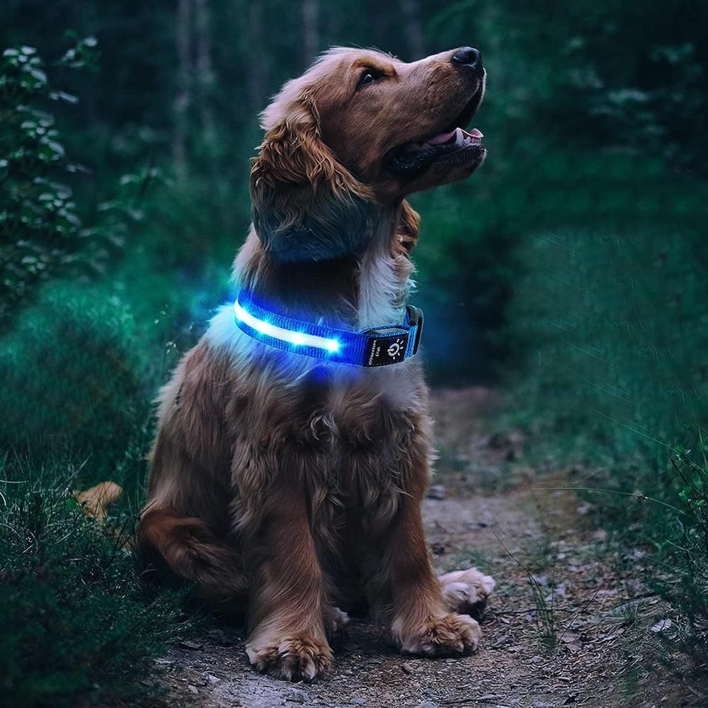Luminous LED Pet Dog Collar Light-up USB Rechargeable Dog Collar Blue - M