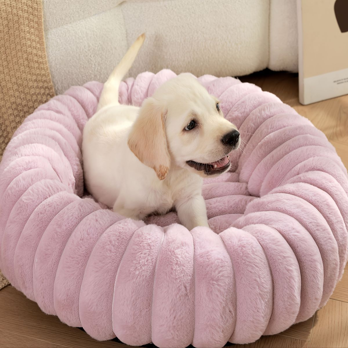 Pet Bed Dog Bed Cat Bed Small Dog Bed Medium Dog Bed Plush Pet Bed All-Season - White - Size 50-20-20