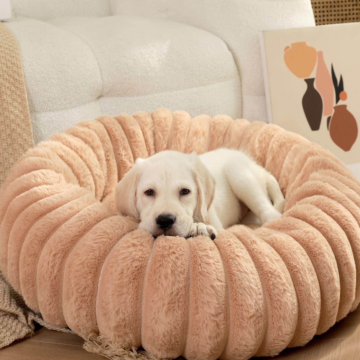 Pet Bed Dog Bed Cat Bed Small Dog Bed Medium Dog Bed Plush Pet Bed All-Season - White - Size 50-20-20